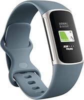 Fitbit charge 2 【活動量計】 Fitbit Charge 2はGPSランニングウォッチの代わりとなるか - RUN